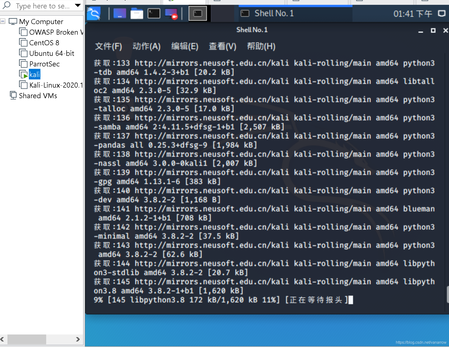 【Kali Linux 2020.1b】 全网 最新 安装 教程 ——你会踩到的坑,遇到的问题,难以哭诉的崩溃运维algae-