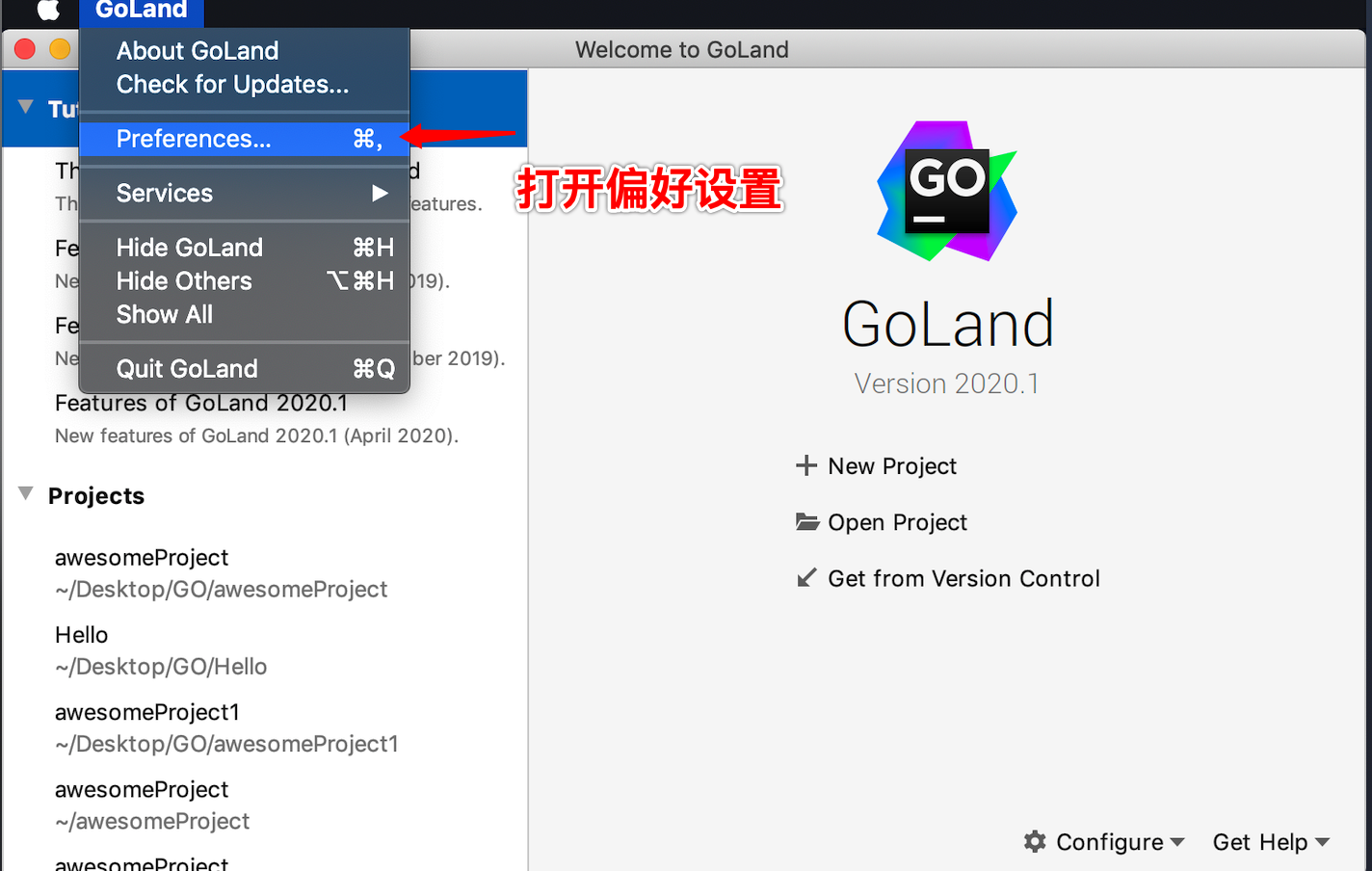for mac instal JetBrains GoLand 2023.1.3