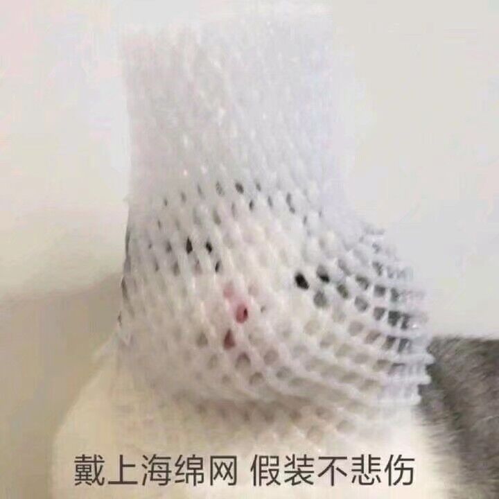 搜索之走迷宫|题解c/c++Ybluefat的博客-