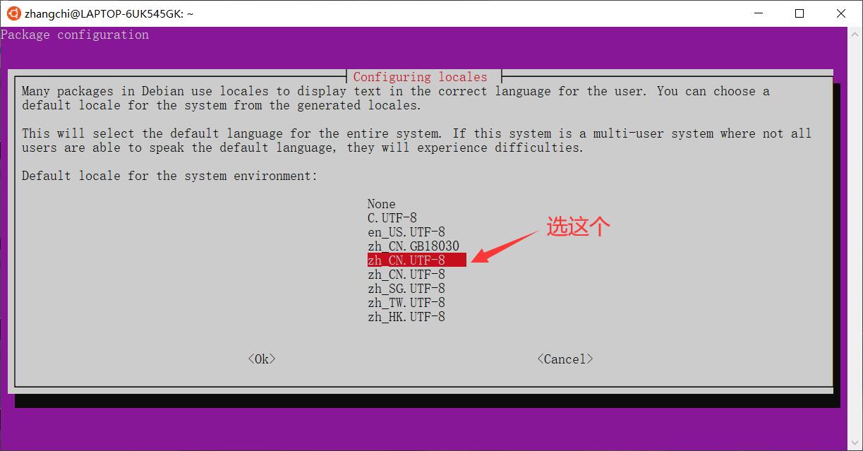 Windows10自带Ubuntu配置详解（小白必看）运维chigenb的博客-