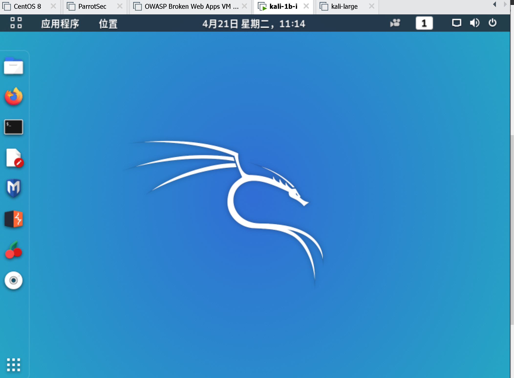 【Kali Linux 2020.1b】 全网 最新 安装 教程 ——你会踩到的坑，遇到的问题，难以哭诉的崩溃运维algae-