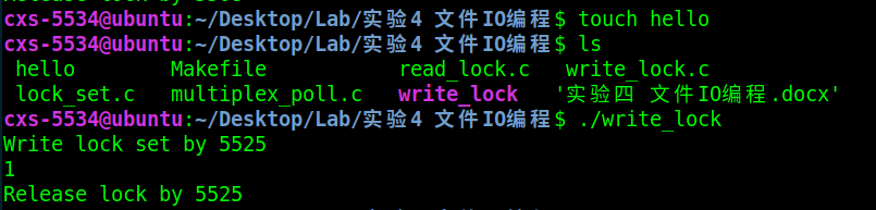 Write_lock-1