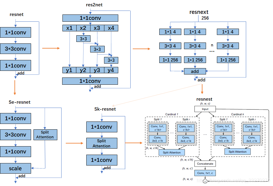resnet的演化(res2net,resnext,se-resnet,sk-resnet,resnest)_resnest sknet-CSDN博客
