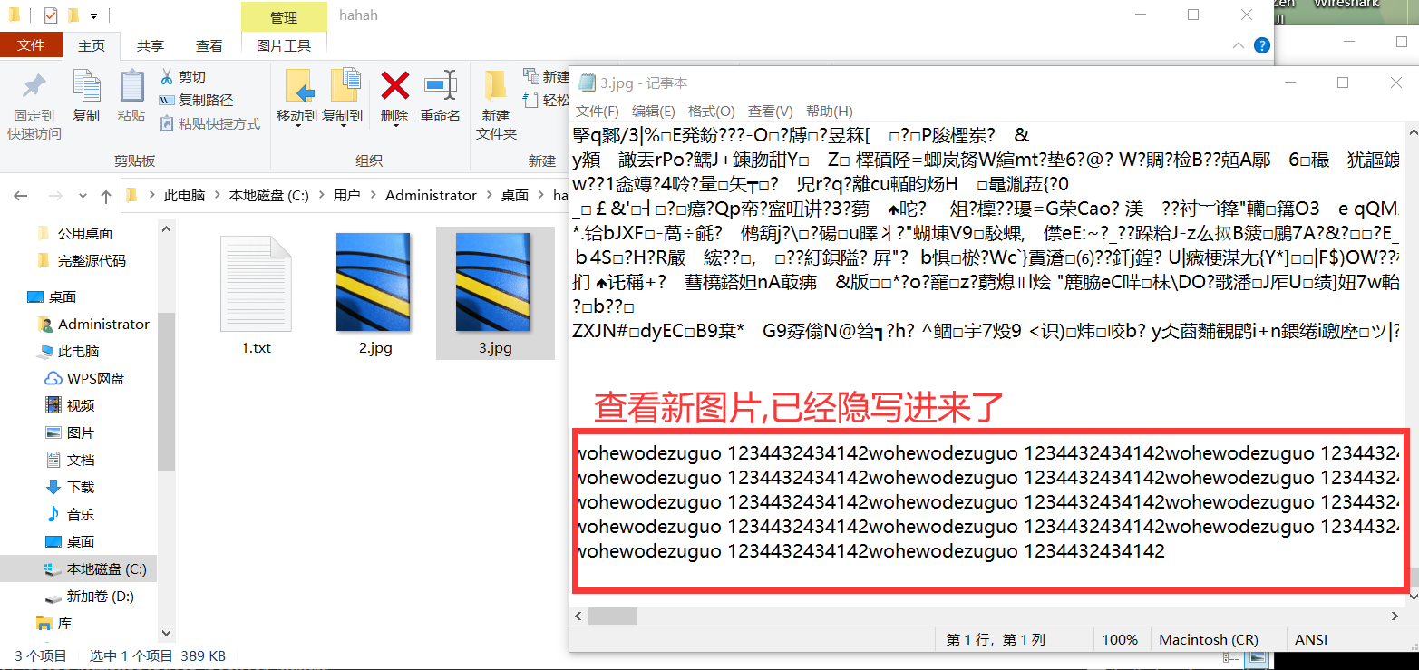 信息隐藏copyb2jpg1txt3jpg