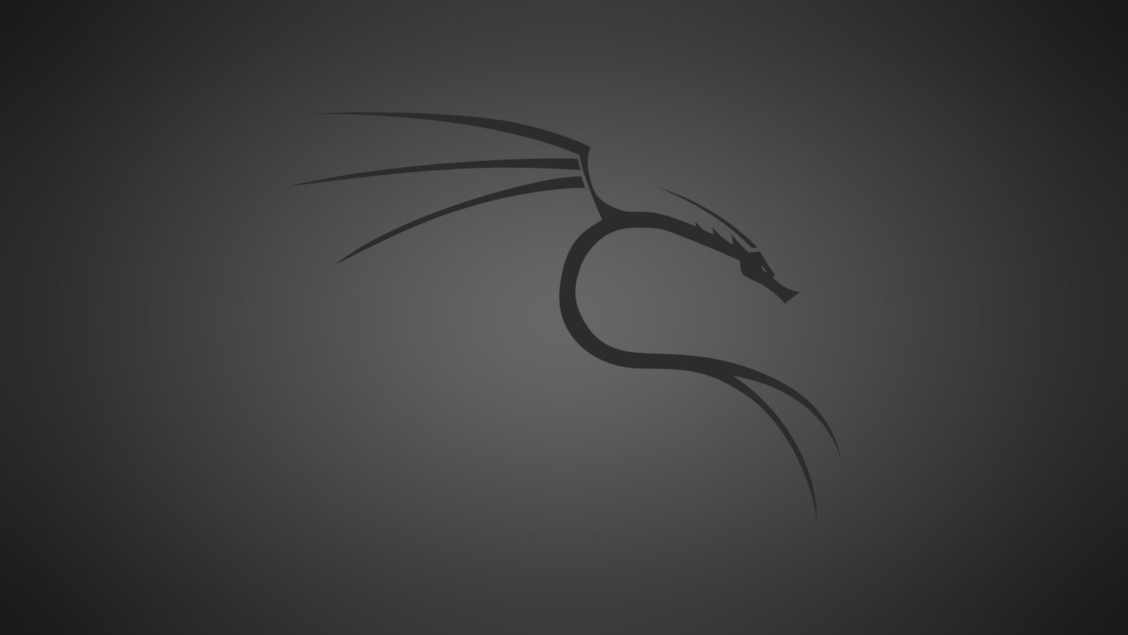 Kali linux. Обои kali Linux 2020. Kali Linux Nethunter обои. Кали линукс лого. Заставка kali Linux.