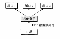 UDP的分用