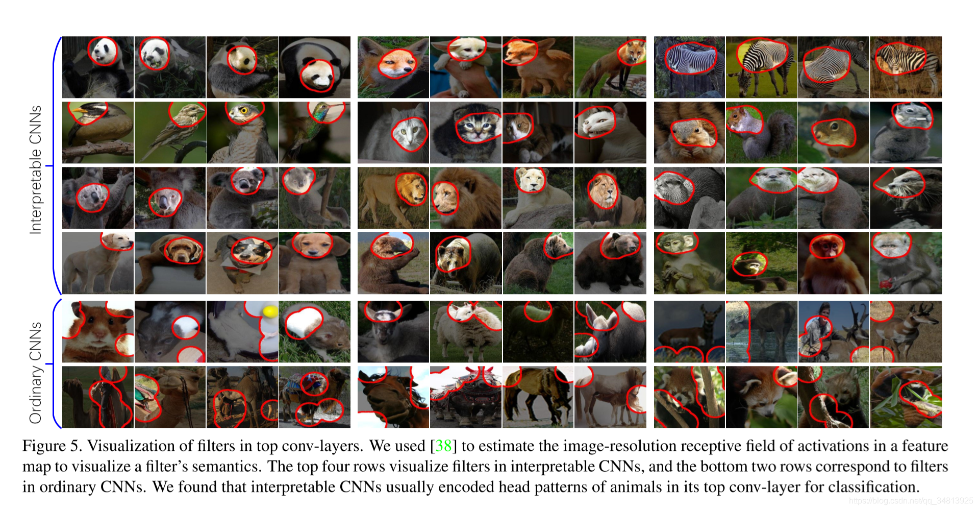 笔记：Interpretable Convolutional Neural Networks