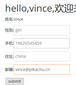 pikachu靶场通过教程xuandaoahfengren的博客-