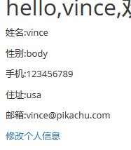 pikachu靶场通过教程xuandaoahfengren的博客-