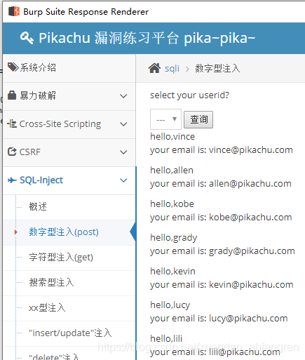 pikachu靶场通过教程xuandaoahfengren的博客-