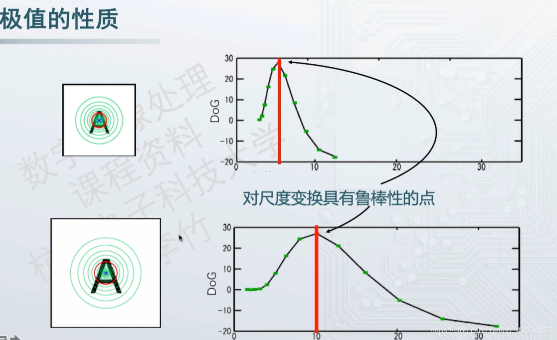 极值性质