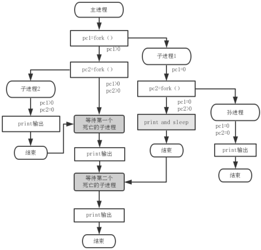 Linux连续使用两个fork进程编程_linux c++ 双fork方法-CSDN博客
