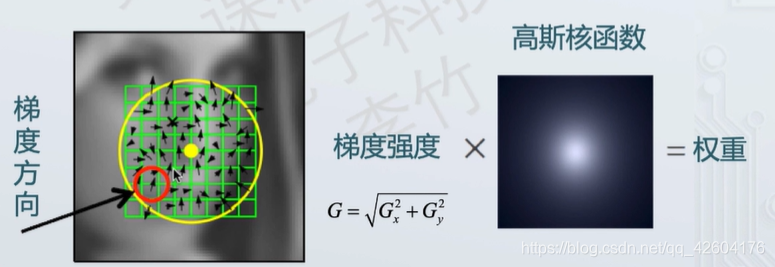 取决因素