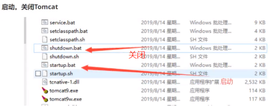 B站---【狂神说Java】JavaWeb入门到实战---笔记