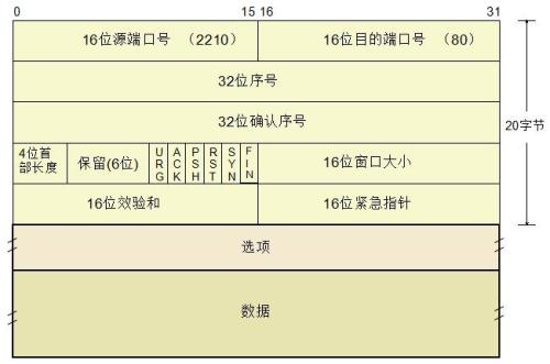 tcp报文格式