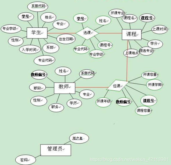 学生选课系统的ER图_选课系统er图-CSDN博客