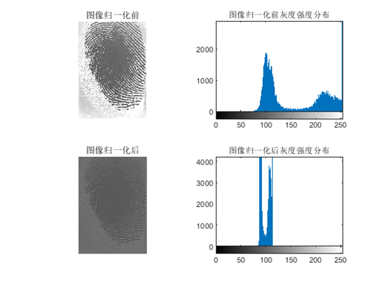 指纹识别-(3)指纹图像预处理算法之图像归一化
