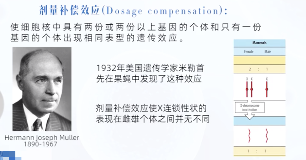 型泛发性白化病- CSDN