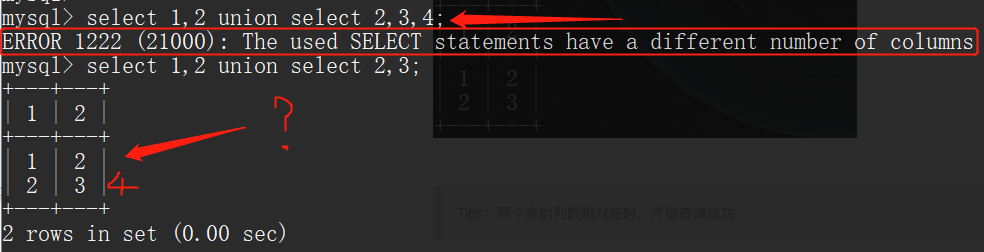 Web安全之SQL注入（一）数据库Kevin&#039;s Blog-