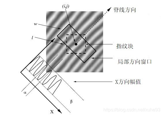 指纹识别-(6)指纹图像预处理算法之图像频率场