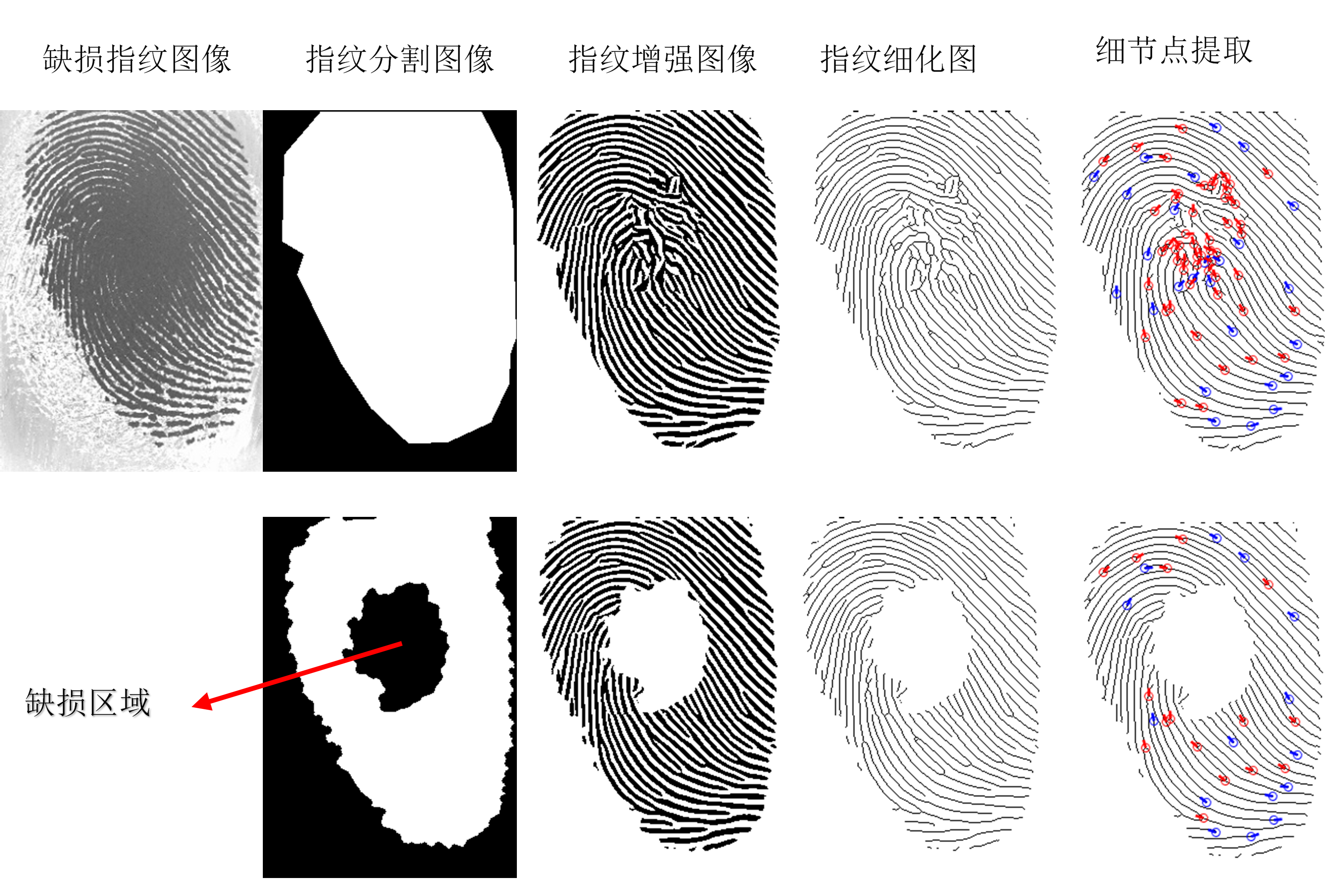 局部缺损指纹的细节点特征提取