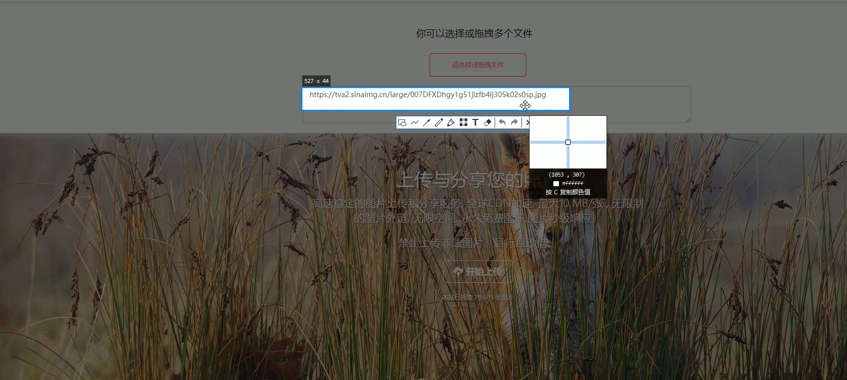 image图片标签_image里面可以写标签嘛-CSDN博客