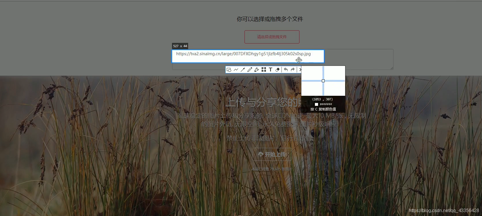 image图片标签_image里面可以写标签嘛-CSDN博客