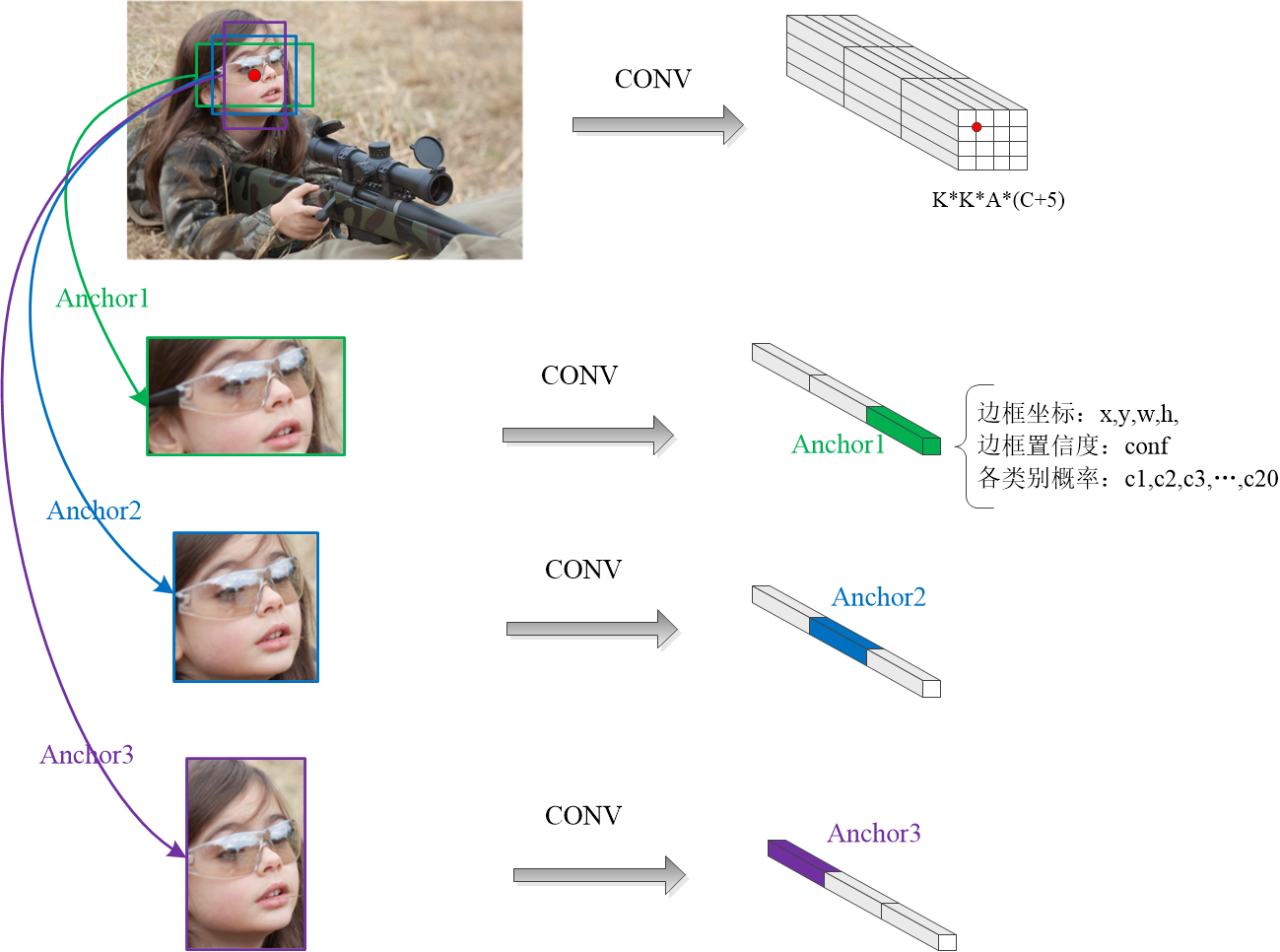YOLOv3 anchor理解_yolov3 anchors作用CSDN博客