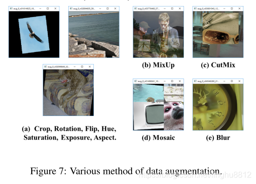 data augmentation