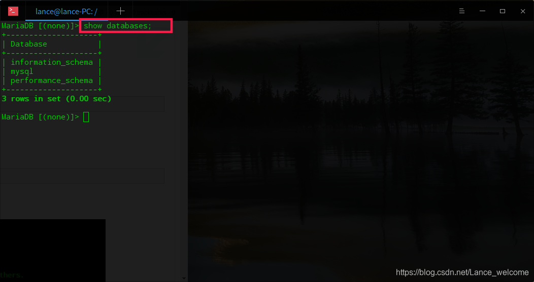 一篇文章快速搞懂 Deepin下的MySQL安装配置数据库蓝山-