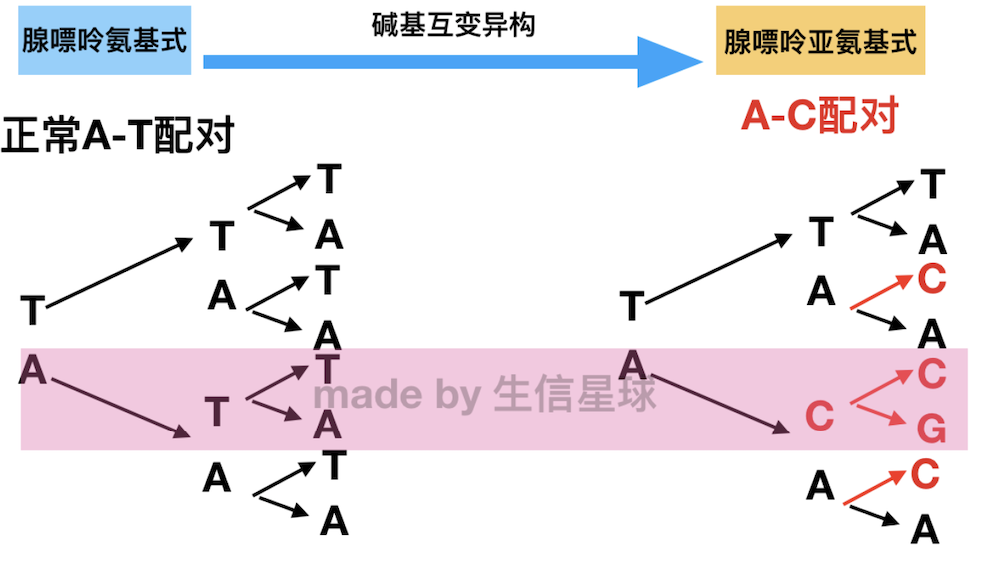 VCF文件格式_allele count in genotypes for each alt allele, in -CSDN博客