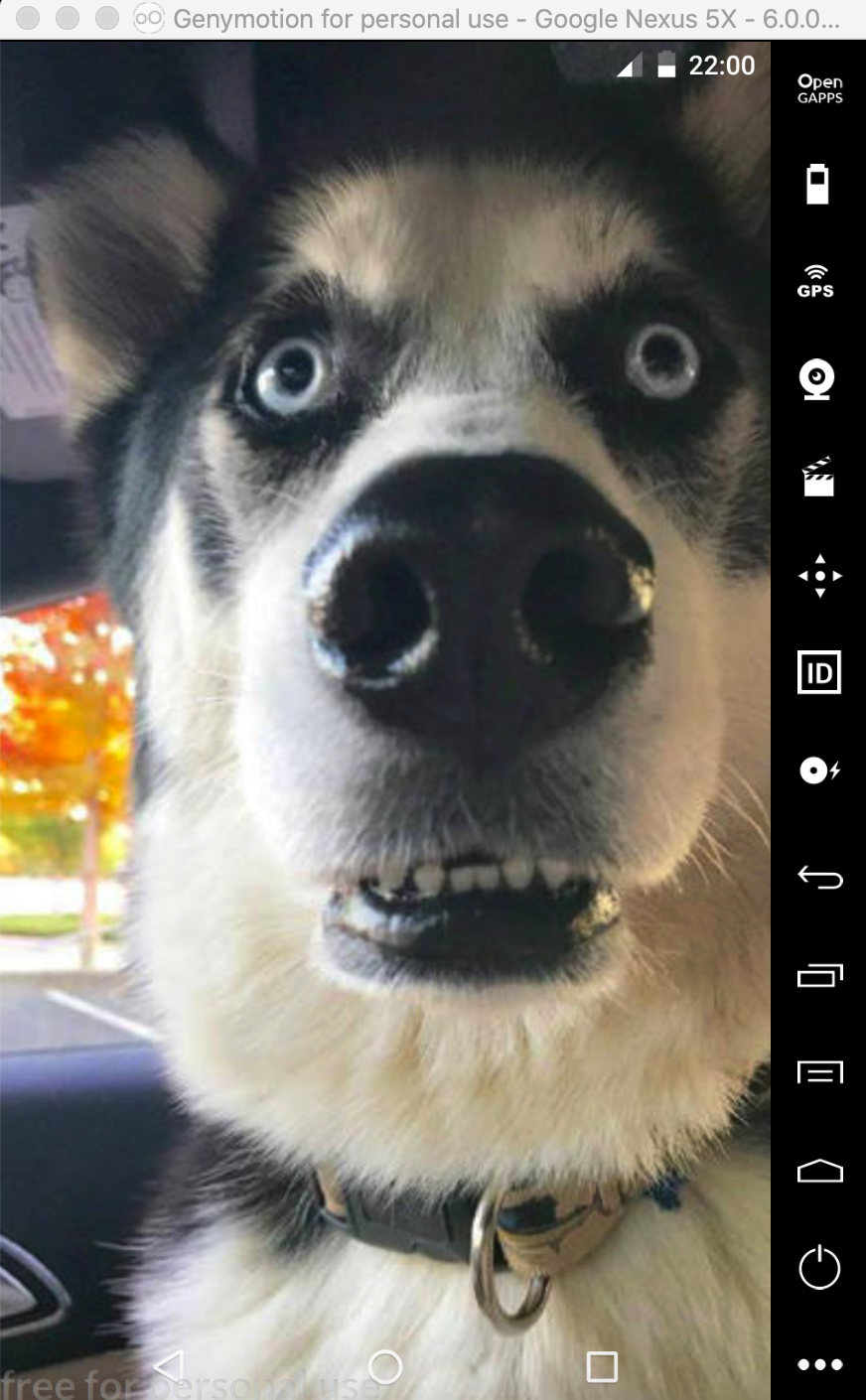 沉浸式ui墨玉浮白的博客-