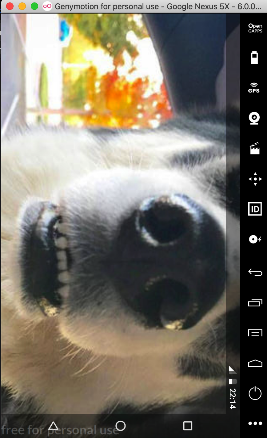 沉浸式ui墨玉浮白的博客-