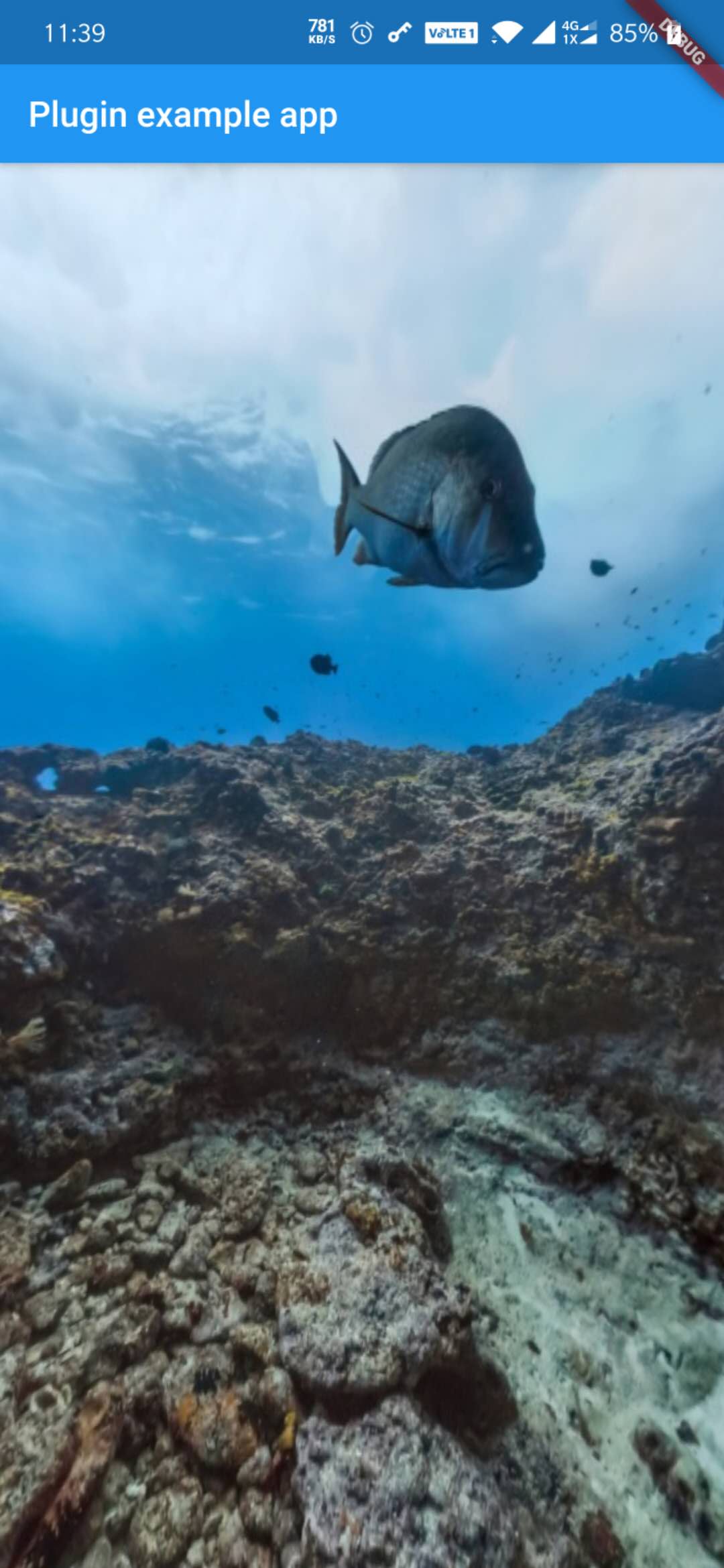 Flutter全景图组件