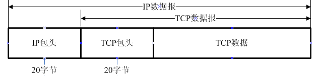 TCP数据在IP数据报中的封装