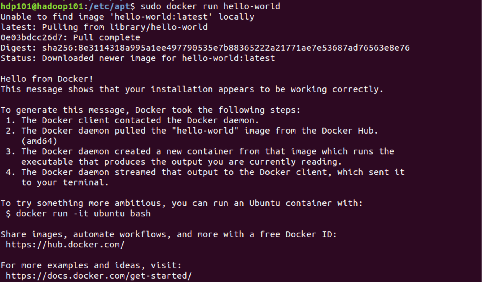 Linux run. Docker Ubuntu. Ubuntu docker install. Sudo Linux. Bash Linux.