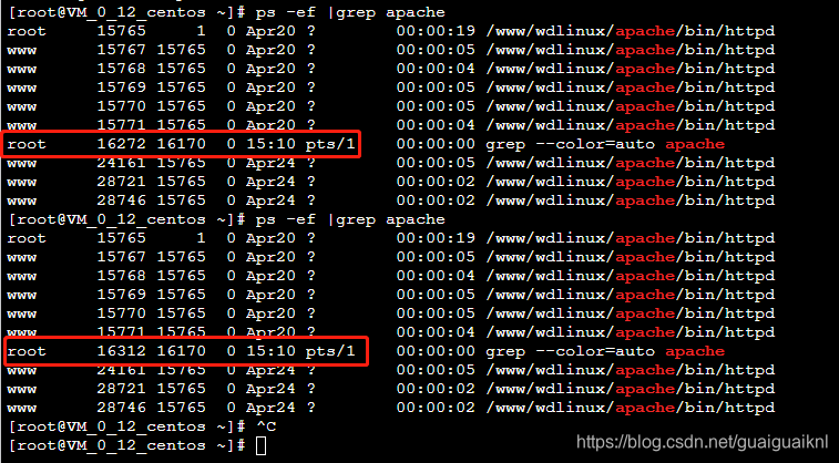 ps -ef | grep apache 查看进程时,出现有一个进程id一直在变化_kill进程号,进程号一直变-CSDN博客