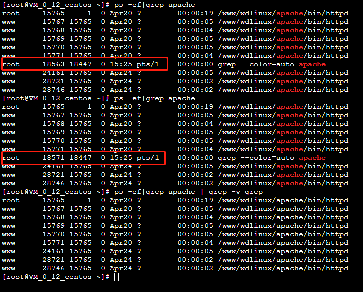 ps ef grep apache 查看进程时，出现有一个进程id一直在变化_kill进程号,进程号一直变CSDN博客