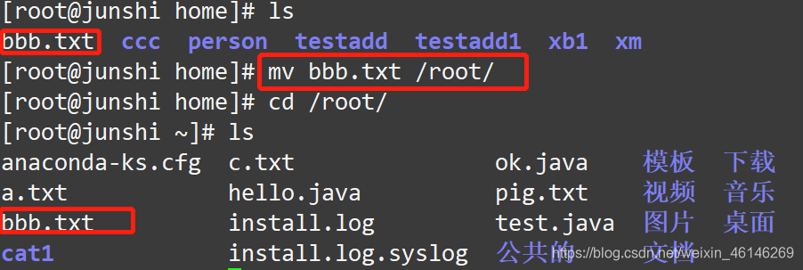 保姆级教学!Linux操作3天快速入门系列 第一天【篇一】(不看真的错过了..)开发工具CodeWhite-