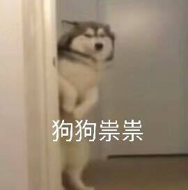 如何在markdown中插入图片