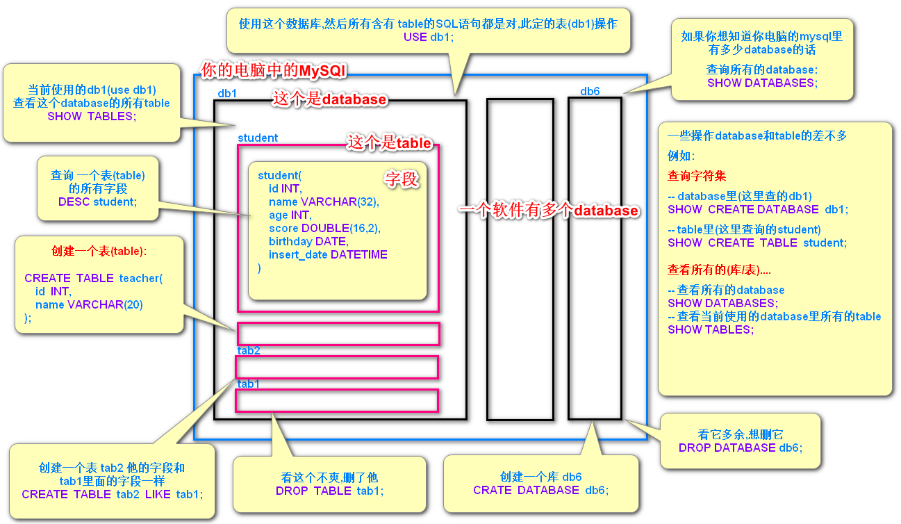 一张图了解MySQL中database和table的关系_mysql database table-CSDN博客