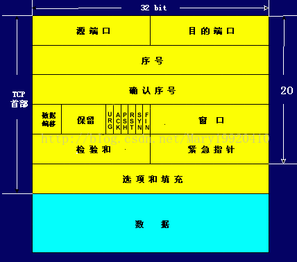 看完把学霸按在地上摩擦，计算机网络知识点总结（6）——组合版本网络阿伟加油鸭-