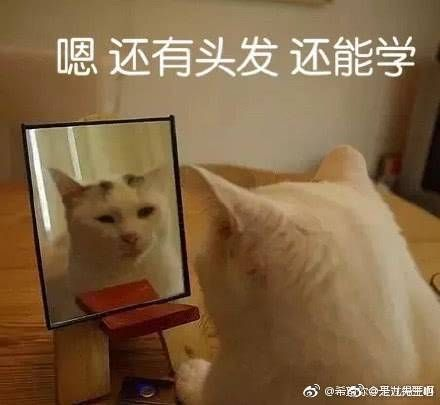 看完把学霸按在地上摩擦，计算机网络知识点总结（6）——组合版本网络阿伟加油鸭-