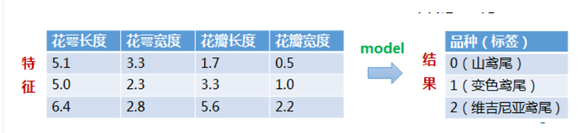 鸢（yuan）尾花分类任务人工智能qq44263007的博客-