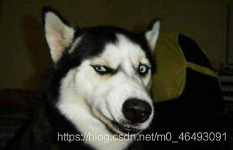 搁五年前:我大二结业也可以去工作面试m046493091的博客-