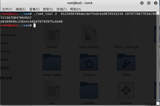 安恒2020-四月春季战-reverse-sm安全,密码学pkcjl的博客-
