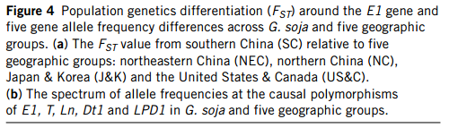 二代测序群体进化-GWAS分析及案例解析