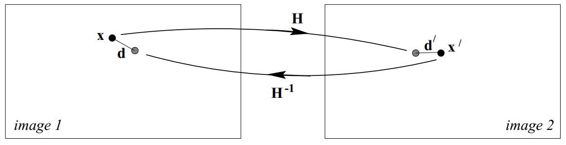 sym_transfer_loss