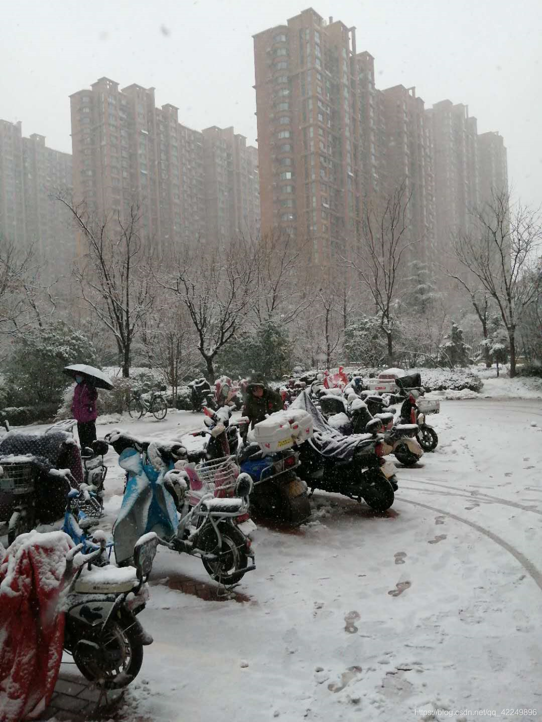 奔涌吧,后浪!光头强的博客-