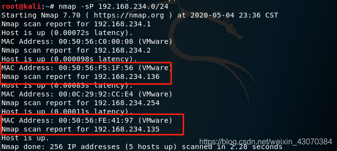 我们这个时候会发现有好几个IP地址，那么到底哪一个是我们的靶机地址呢，现在我们排除kali的主机地址，有一个234.1，234.2，234.254，这三个IP地址是明显的不是靶机地址，当然也可以每一个进行尝试，多失败不是坏事。